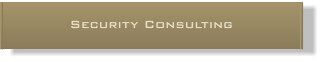 Security Consulting