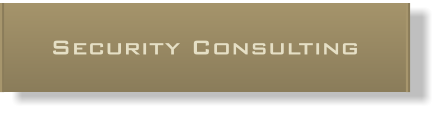 Security Consulting